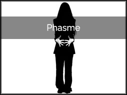 Phasme - 2013